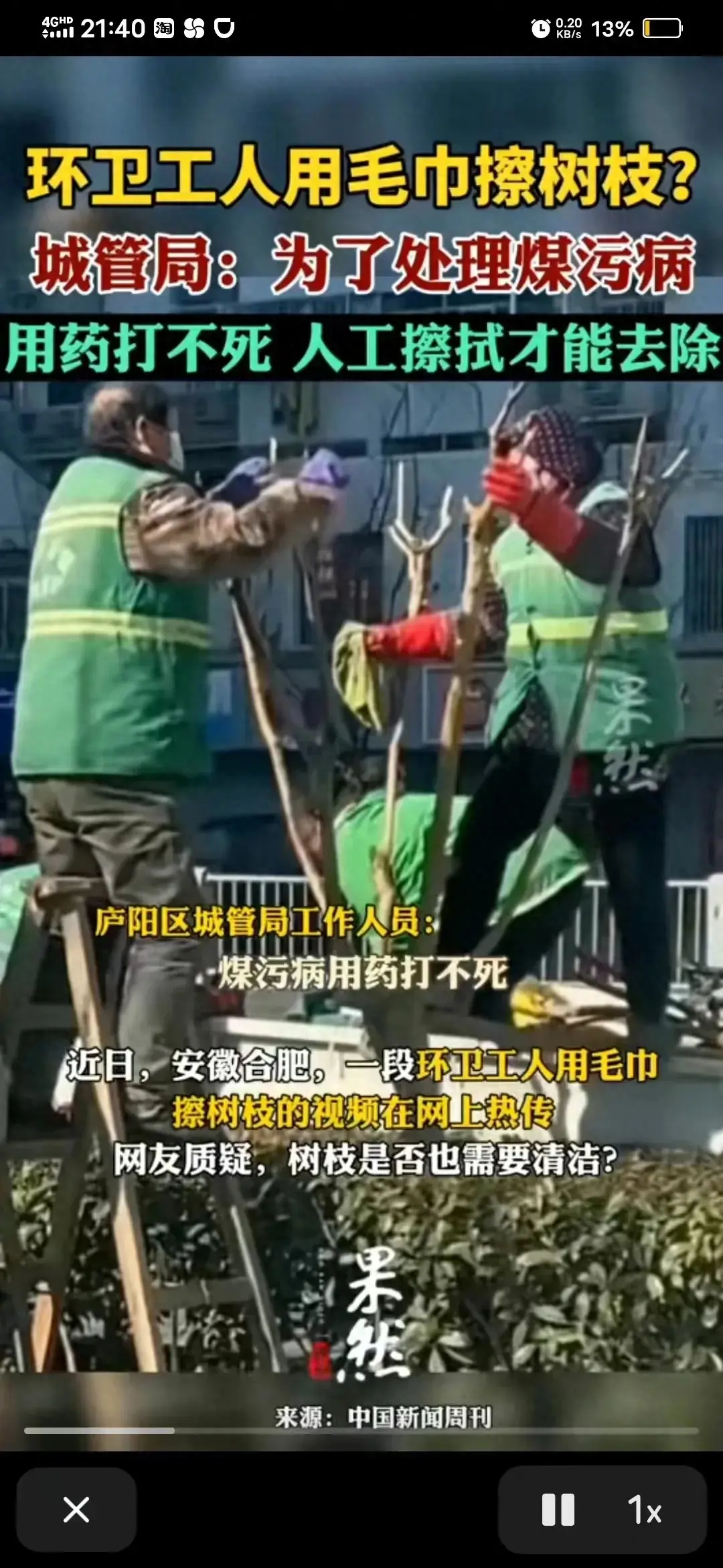 官方回應環衛工人用毛巾擦樹枝