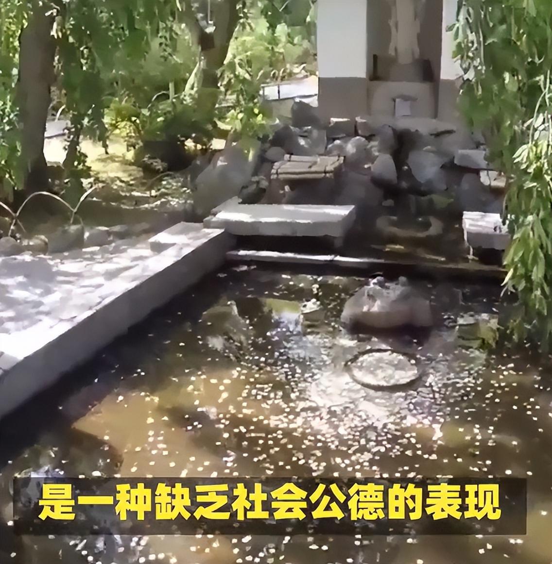 游客偷許愿池的錢遭道長呵斥