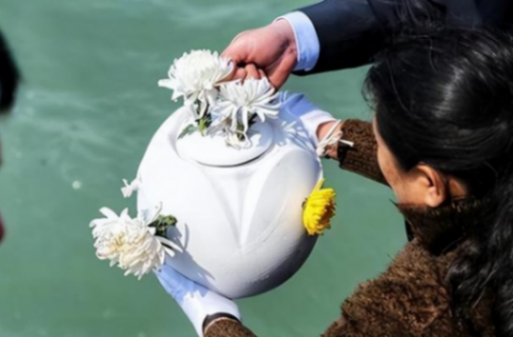 網友吐槽海葬太貴了