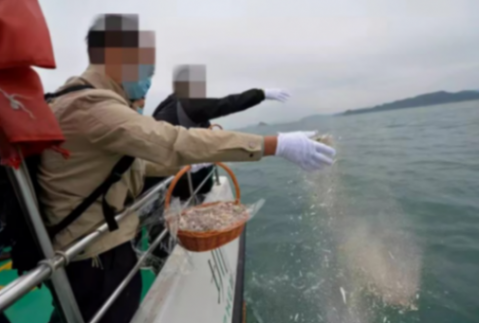 網友吐槽海葬太貴了