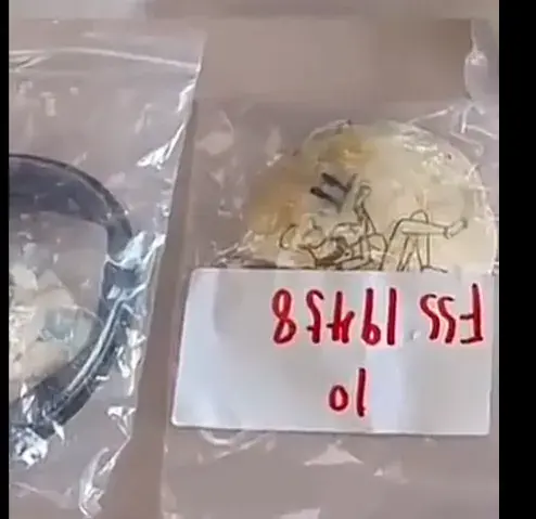 昆明海關查獲人體組織制品12件
