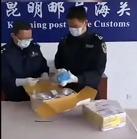 昆明海關查獲人體組織制品12件