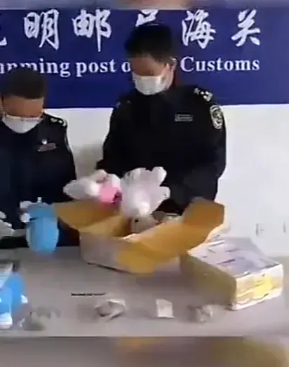 昆明海關查獲人體組織制品12件