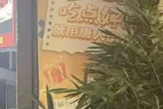 我在新加坡做外賣(mài)生意,收入過(guò)億