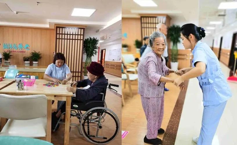 政府工作報告13次提養老