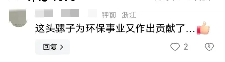 騾子肚子發(fā)脹獸醫(yī)放氣點火治療
