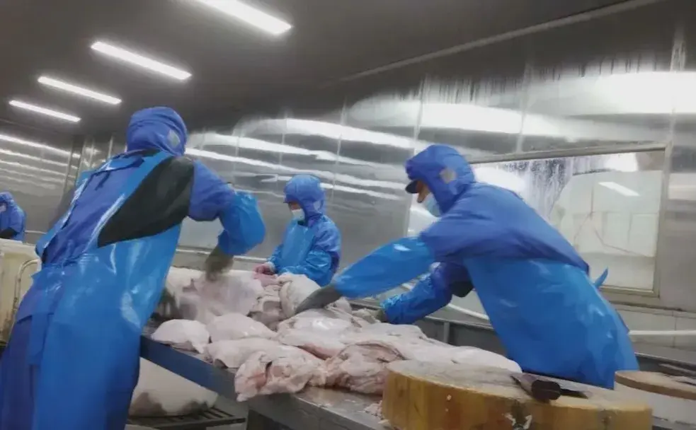 監管現場查封2萬余盒梅菜扣肉