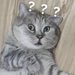 微信如何查看自己加了多少群
